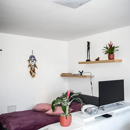 River Ljubljanica Appartement