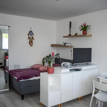 River Ljubljanica Ljubljana