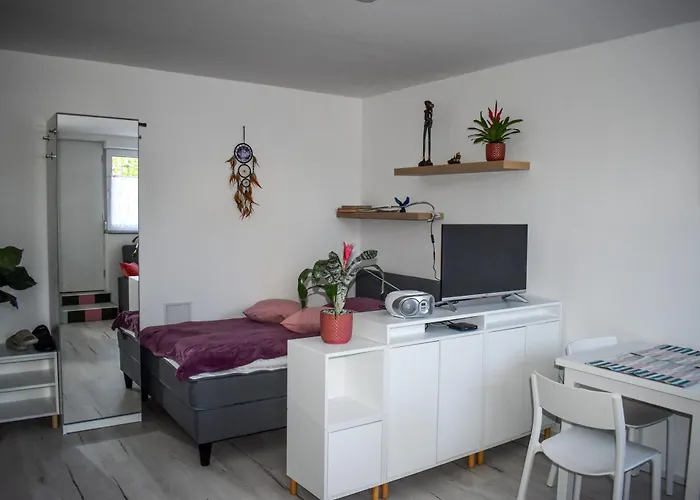 River Ljubljanica Ljubljana